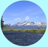 What's The River Like?